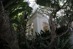 I giardini tropicali in cui è immerso il Raffles Hotel di Singapore. Divenuto ben presto sinonimo di lusso orientale, citato anche nei romanzi di Joseph Conrad e Somerset Maugham, oltre ...