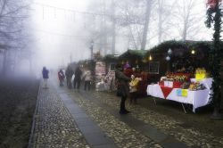 I mercatini di Natale a Govone - © Steve Sidepiece / Shutterstock.com 