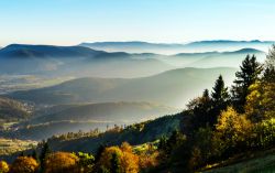 I monti Vosgi in Alsazia, panorama mattutino