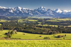 I paesaggi bucolici dell'Algovia in Germania, con le Alpi sullo sfondo. Siamo in Baviera