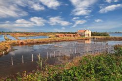 I paesaggi del Delta del Po e del Polesine a Porto Tolle, provincia di Rovigo, Veneto. 