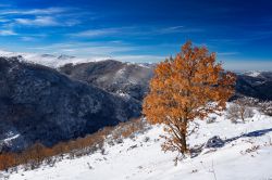 I paesaggi del Gennargentu sopra a Fonni: siamo sul monte Bruncu Spina in Sardegna