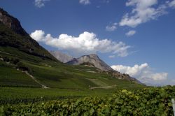 I paesaggi del Vallese vicino a Saillon sono trapuntati di vigneti.