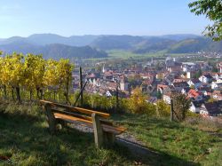 I paesaggi della Foresta nera a Gengenbach nel Land Baden-Wurttemberg della Germania