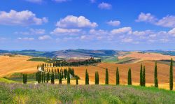 I paesaggi incantati della Val d'Orcia in Toscana, siamo in provincia di Siena © StockPhotoAstur / Shutterstock.com