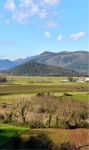 I paesaggi intorno a Piana di Monte Verna, provincia di Benevento (Campagna). In distanza i Monti del Matese - © MARINO LANDOLFO / Shutterstock.com