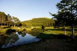 I paesaggi intorno a Ventasso Laghi in estate: sulle rive del Lago Calamone