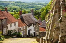 I pittoreschi cottages sulla stradina acciottolata della Collina d'Oro di Shaftesbury, Dorset, Inghilterra. Queste tradizionali abitazioni sono ritratte su tutte le cartoline illustrate ...