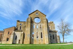 I ruderi della Cattedrale di San Galgano in Toscana, colline senesi vicino a Chiusdino - © Georgia Carini / Shutterstock.com