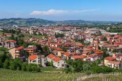 I tetti rossi del centro di Alba, Piemonte, Italia. Una suggestiva veduta panoramica dall'alto delle abitazioni di Alba tutte caratterizzate da tetti con tegole rosse - © Rostislav ...