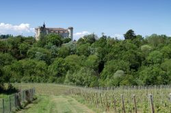 I vigneti che circondano Costigliole e il suo Castello, provincia di Asti (Piemonte)