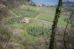 I vigneti del Prosecco a Refrontolo in Veneto, provincia di Treviso