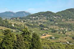 I vigneti di Bandol, nel sud della Francia, fotografati dalle colline. Il fascino della Provenza tradizionale e l'eccellenza di un territorio in grado di produrre ottimi vini: siamo a Bandol ...
