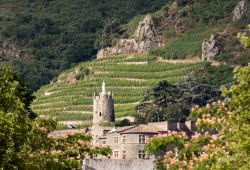 I vigneti di M. Chapoutier Crozes-Hermitage con un'antica costruzione in pietra a Tain-l'Hermitage, Francia.
