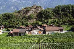 I vigneti nel Vallese nei pressi del villaggio di Saillon, in Svizzera