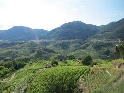I villaggi di Cembra e Faver visti da Sevignano in Val di Cembra, Trentino - © Syrio - CC BY-SA 3.0 - Wikipedia