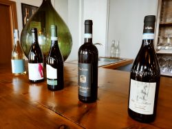 i vini dell'Enoteca Regionale di Albugnano in Piemonte, siamo nel Monferrato
