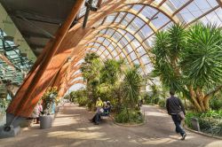 I Winter Gardens di Sheffield in una giornata primaverile con visitatori (Inghilterra) - © travellight / Shutterstock.com