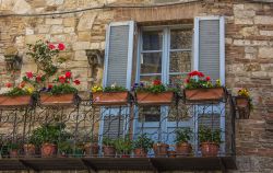 Il balcone fiorito di un edificio antico nel centro storico di Todi, Umbria.
