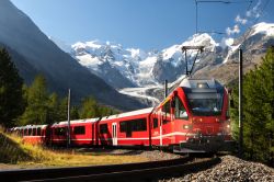 Il Bernina Express tra i paesaggi del ghiacciao Morteratsch nel gruppo del Bernina, Pontresina
