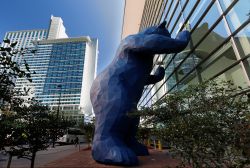 Il Big Blue Bear al Colorado Convention Center di Denver in un pomeriggio di sole (Colorado). Il Grande Orso Blu è diventato un simbolo della città americana. Opera dell'artista ...