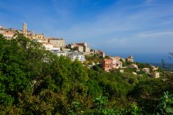 Il borgo di Cervione (Francia), magnifico villaggio della costa est dell'Alta Corsica