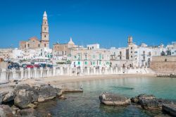 Il borgo di Monopoli in estate fotografato dal mare, provincia di Bari, Puglia - © Stefano_Valeri / Shutterstock.com