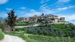 Il borgo di Montefioralle fotografato dalla campagna circostante, provincia di Firenze, Toscana.
