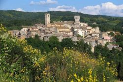 Il borgo toscano di San Casciano dei Bagni: la vista panoramica  delle colline del sud-est della Toscana, con fioritura di ginestre in primo piano - © Spano