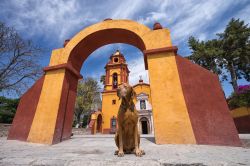 Il cane di un  turista attende sotto l'arco di fronte alla chiesa di Bernal, stato del Queretaro, Messico - © Barna Tanko / Shutterstock.com