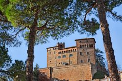 Il Castello dei Maltesta a Longiano, incorniciato da alcuni pini. Siamo in provincia di Cesena, tra le colline della Romagna