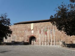 Il Castello dei Paleologi a Casale Monferrato - © Davide Papalini - CC BY-SA 3.0, Wikipedia
