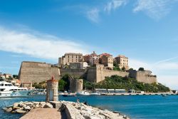 Il castello di Calvi, Corsica, fotografato dal porto.
