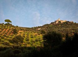 Il castello di Capalbio immerso nella bella campagna toscana. Il complesso faceva parte della donazione all'Abbazia dei Santi Anastasio e Vincenzo alle Tre Fontane nell'805 da parte ...