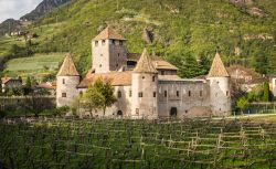Il Castello di Mareccio circondato dai vigneti a Bolzano in Alto Adige