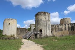 Il Castello di Niort, Chateau Coudray, ovest della Francia, Nuova Aquitania - © Imladris / Shutterstock.com