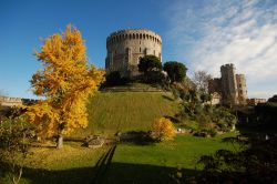 Il castello di Windsor in una bella giornata di sole, Regno Unito. Questa residenza reale situata nella contea del Berkshire è un castello medievale iniziato a costruire nell'XI° ...