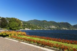 Città di Como, Lombardia - Il centro cittadino si affaccia sul lungolago e presenta ancora l'aspetto dell'originario castrum romano con mura medievali  ben conservate e torri ...