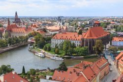 Panorama sul centro di Wroclaw e sul fiume Oder, Polonia - Importante porto sul fiume Oder, Breslavia sorge al centro di una ricca regione agricola. In questa immagine scattata dall'alto, ...