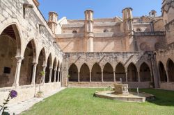 Il chiostro della cattedrale di Santa Maria a Tortosa, Catalogna, Spagna  - © joan_bautista / Shutterstock.com