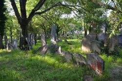 Il cimitero ebraico a Mikulov, Moravia, Repubblica Ceca. Questa necropoli con tombe rinascimentali, barocche e classiche ospita circa 4000 lapidi di cui la più antica in pietra risale ...