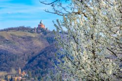 Il colle di San Luca e i Colli Bolognesi fotografati da Casalecchio di Reno, Emilia-Romagna