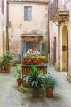 Il cortile interno di una casa di Buonconvento, Toscana, con fiori e piante. Siamo in provincia di Siena, nella valle dell'Ombrone.
