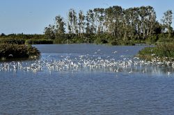 I paesaggi del Delta del Po nei dintorni di Goro (Ferrara), Emilia-Romagna.