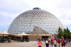 Il Desert Dome di Omaha, Nebraska (USA): si tratta del deserto indoor più grande del mondo ed è ospitato all'interno di una cupola geodetica chiusa alta 42 metri e lunga 70 ...