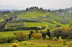 Il dolce paesaggio collinare toscano nella zona del vino Chianti
