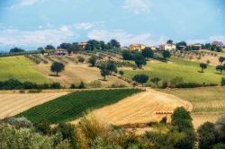 Il dolce paessaggio delle colline intoerno a Massa Martana e Bastardo in Umbria