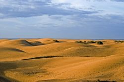 Il famoso campo di dune eoliche di Maspalomas, Gran Canaria - © Guido Haeger, CC BY-SA 3.0, Wikipedia
