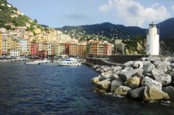 Il faro conduce alla città: Camogli - in questa suggestiva immagine possiamo notare come il faro di Camogli introduca alla città, splendidamente adagiata sul promontorio di Portofino: ...