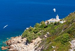 Il faro di Capo Negro, siamo a Zannone. isole Ponziane, provincia di Latina, Lazio